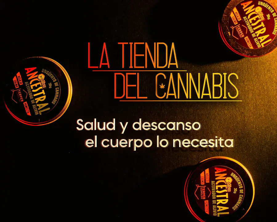 La TDC — pieza 01